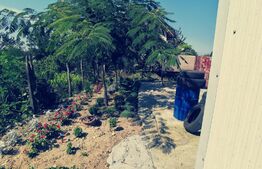 Service auto si spalatorie, cu 756 mp teren intravilan, Malu Mare!