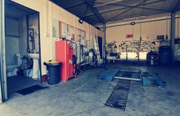 Service auto si spalatorie, cu 756 mp teren intravilan, Malu Mare!