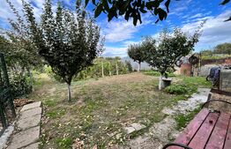 Casă pe parter de 95 mp utili, curte mare de 1.300 mp, Cârcea