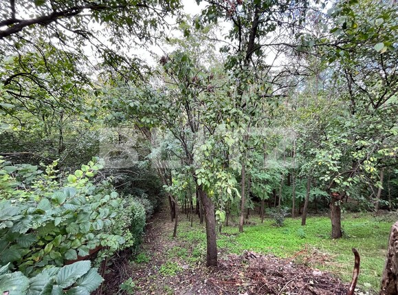 Casa de vânzare 3 camere Sud-Est - 97317CV | BLITZ Craiova | Poza18