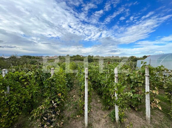 Casa de vânzare 3 camere Sud-Est - 97317CV | BLITZ Craiova | Poza17