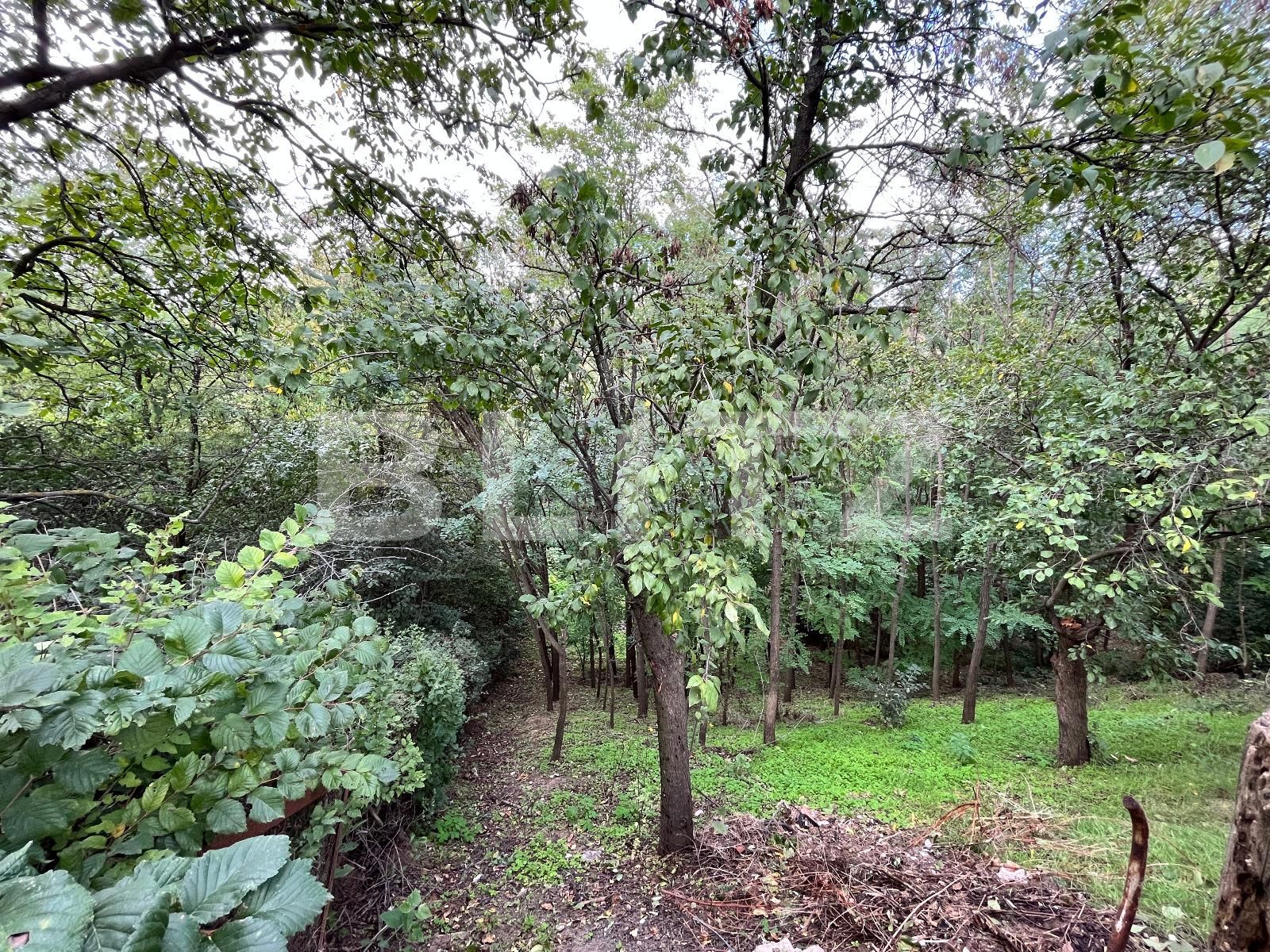 Casa de vânzare 3 camere Sud-Est - 97317CV | BLITZ Craiova | Poza18