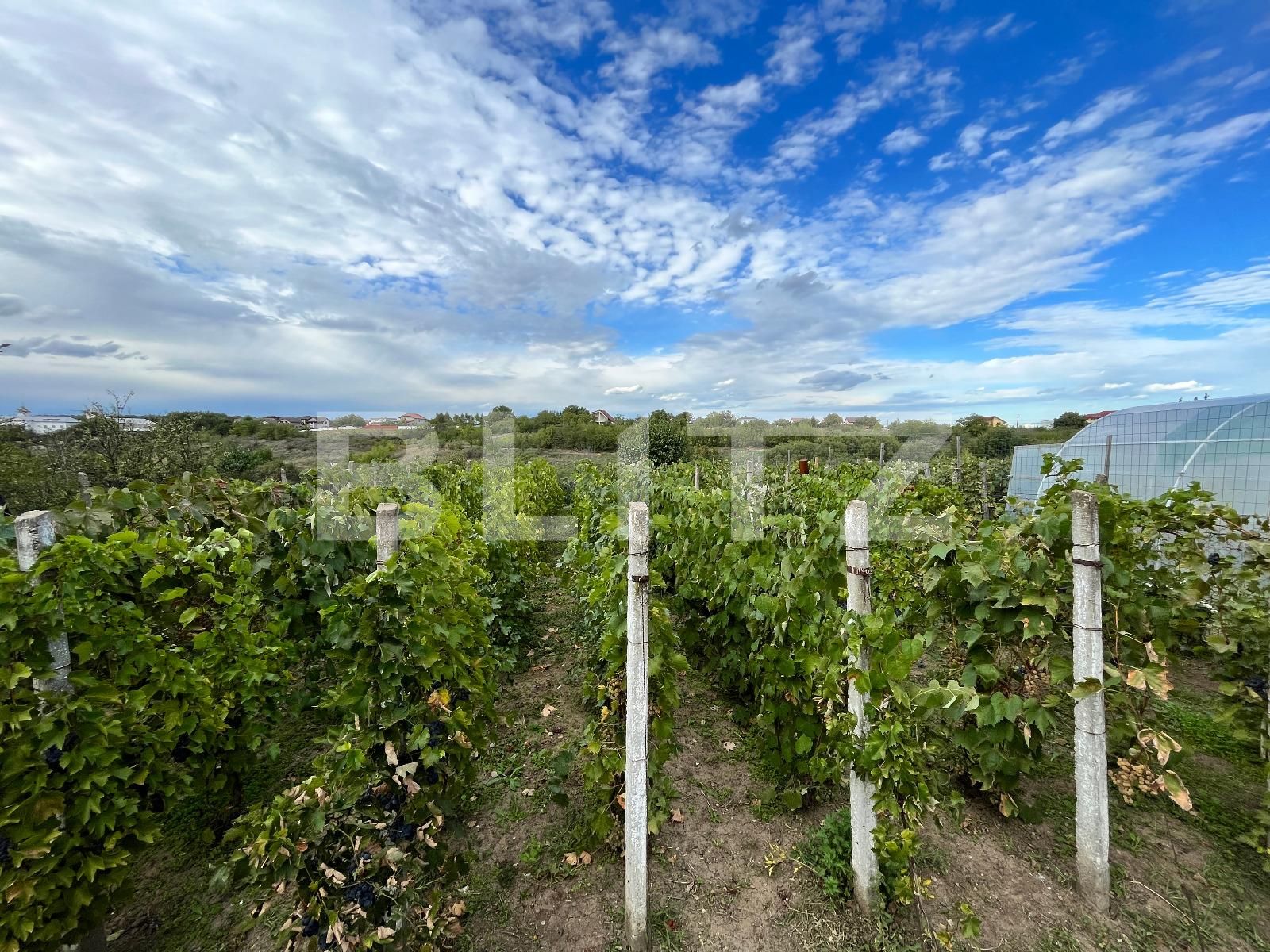 Casa de vânzare 3 camere Sud-Est - 97317CV | BLITZ Craiova | Poza17