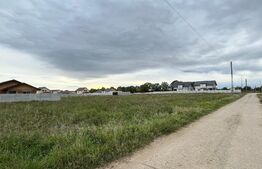 Teren intravilan 450 mp, Cârcea Nouă