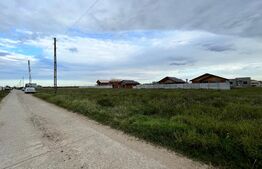 Teren intravilan 450 mp, Cârcea Nouă