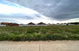 Teren intravilan 450 mp, Cârcea Nouă