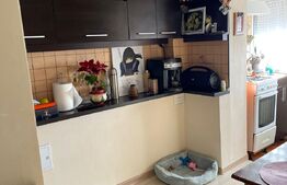 Apartament 3 camere, 65 mp, decomandat, zona Lapus