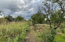 Teren de 2368 mp , Zona Calea Bucuresti