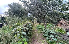 Teren de 2368 mp , Zona Calea Bucuresti