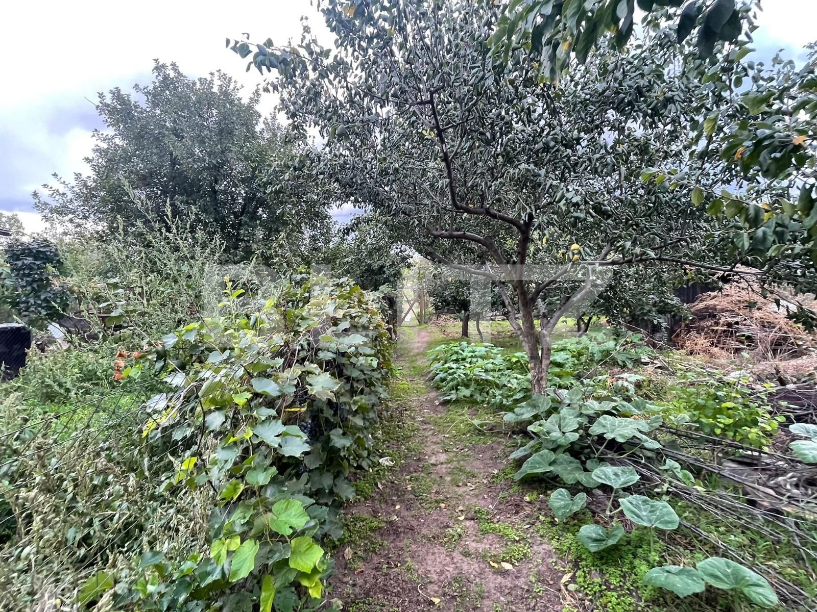 Teren de vânzare Calea Bucuresti - 97489TV | BLITZ Craiova | Poza3