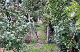 Teren de 2368 mp , Zona Calea Bucuresti