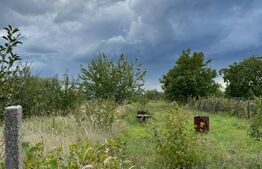 Teren de 2368 mp , Zona Calea Bucuresti