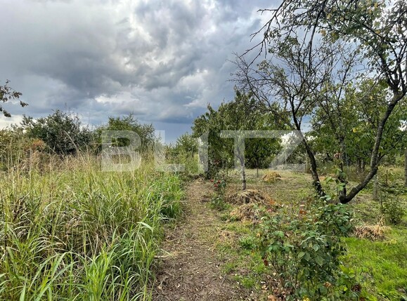 Casa de vânzare 4 camere Calea Bucuresti - 97492CV | BLITZ Craiova | Poza2