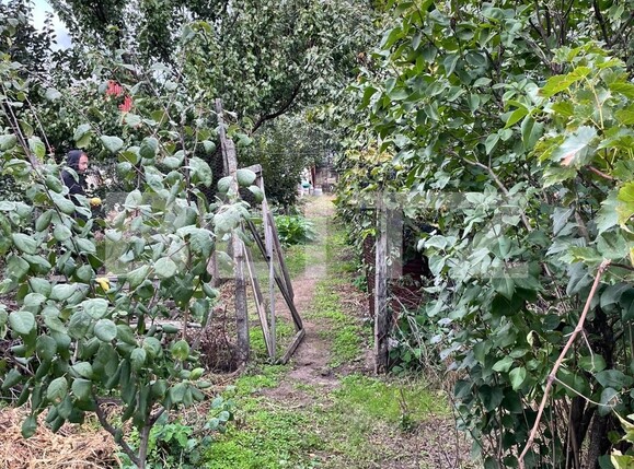 Casa de vânzare 4 camere Calea Bucuresti - 97492CV | BLITZ Craiova | Poza6