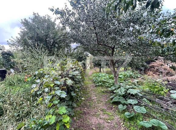 Casa de vânzare 4 camere Calea Bucuresti - 97492CV | BLITZ Craiova | Poza4