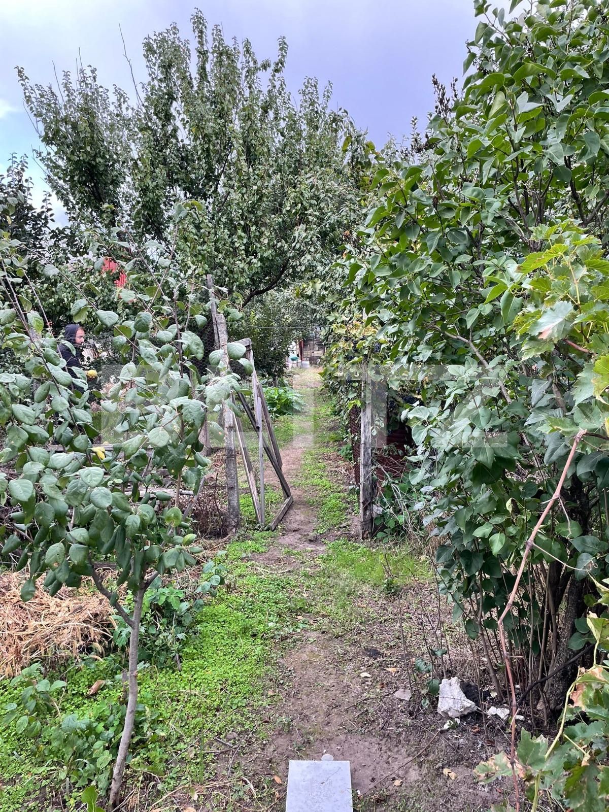 Casa de vânzare 4 camere Calea Bucuresti - 97492CV | BLITZ Craiova | Poza6