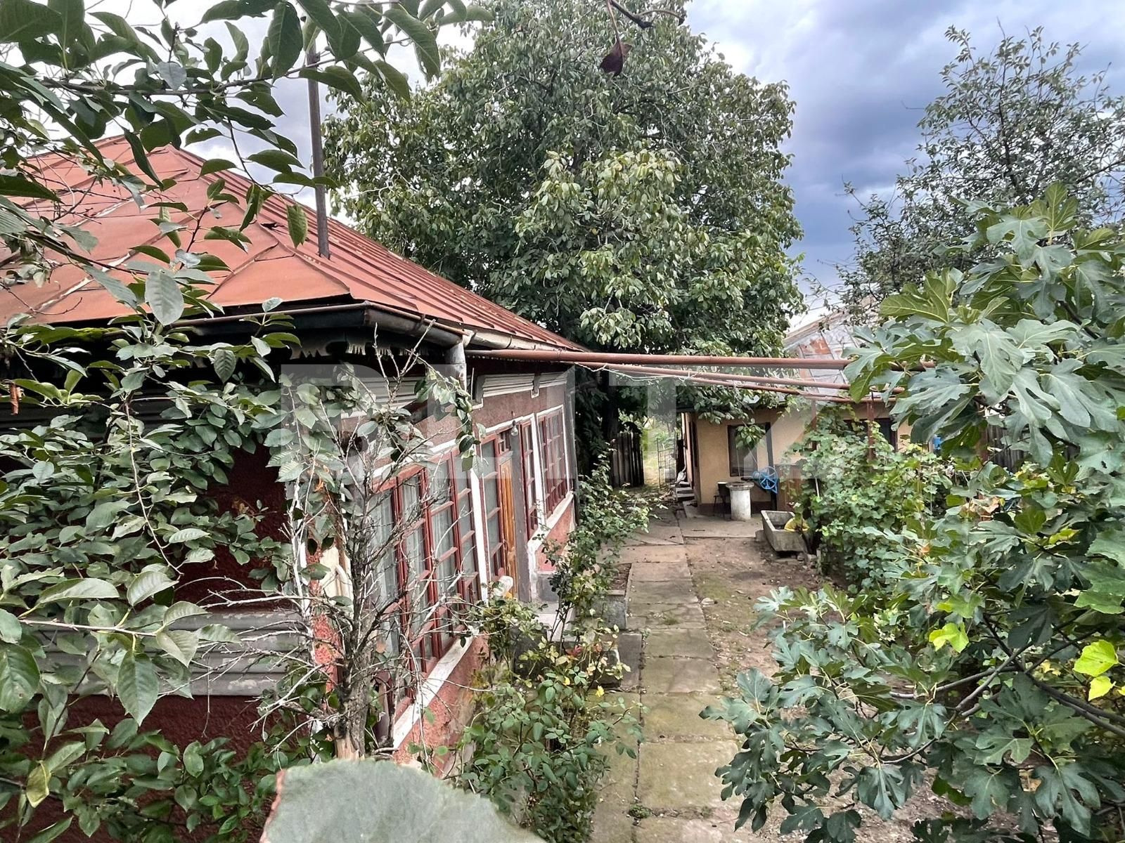 Casa de vânzare 4 camere Calea Bucuresti - 97492CV | BLITZ Craiova | Poza5