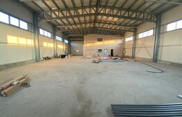 Hala industriala, 600 mp, teren 2200 mp, zona Ford
