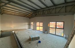 Hala industriala, 600 mp, teren 2200 mp, zona Ford