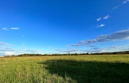 Teren extravilan 15.000 mp, cartier Popoveni