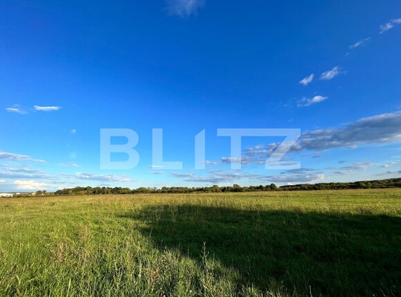 Teren de vânzare Popoveni - 97728TV | BLITZ Craiova | Poza3