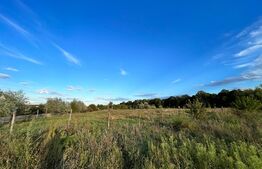  Teren extravilan, 15.000 mp cu front 131 m, cartier Popoveni 