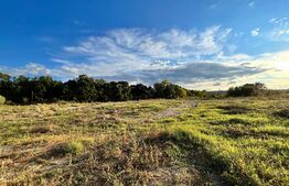  Teren extravilan, 15.000 mp cu front 131 m, cartier Popoveni 