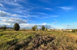  Teren extravilan, 15.000 mp cu front 131 m, cartier Popoveni 