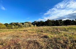  Teren extravilan, 15.000 mp cu front 131 m, cartier Popoveni 