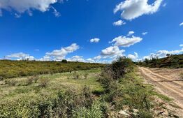 Teren intravilan 3.600 mp, dublă deschidere mare, zona Aeroport Panoramic