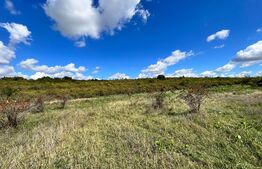 Teren intravilan 3.600 mp, dublă deschidere mare, zona Aeroport Panoramic