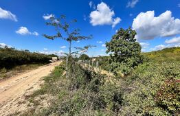 Teren intravilan 3.600 mp, dublă deschidere mare, zona Aeroport Panoramic