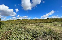 Teren intravilan 3.600 mp, dublă deschidere mare, zona Aeroport Panoramic