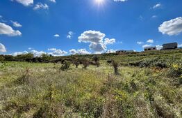 Teren intravilan 3.600 mp, dublă deschidere mare, zona Aeroport Panoramic