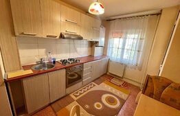 Apartament 2 camere, 60 mp, centrala termica, AC, zona Dezrobirii