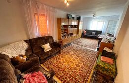 Casa de locuit/sediu firmă, 98mp, teren 493mp, zona Raului