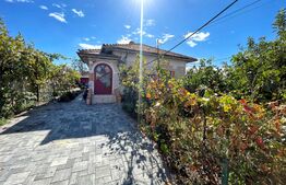 Casa de locuit/sediu firmă, 98mp, teren 493mp, zona Raului