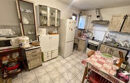 Casa de locuit/sediu firmă, 98mp, teren 493mp, zona Raului