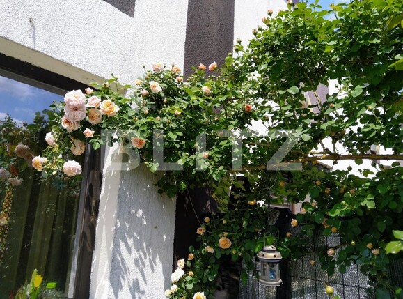 Casa de vânzare 3 camere Lascar Catargiu - 98206CV | BLITZ Craiova | Poza2