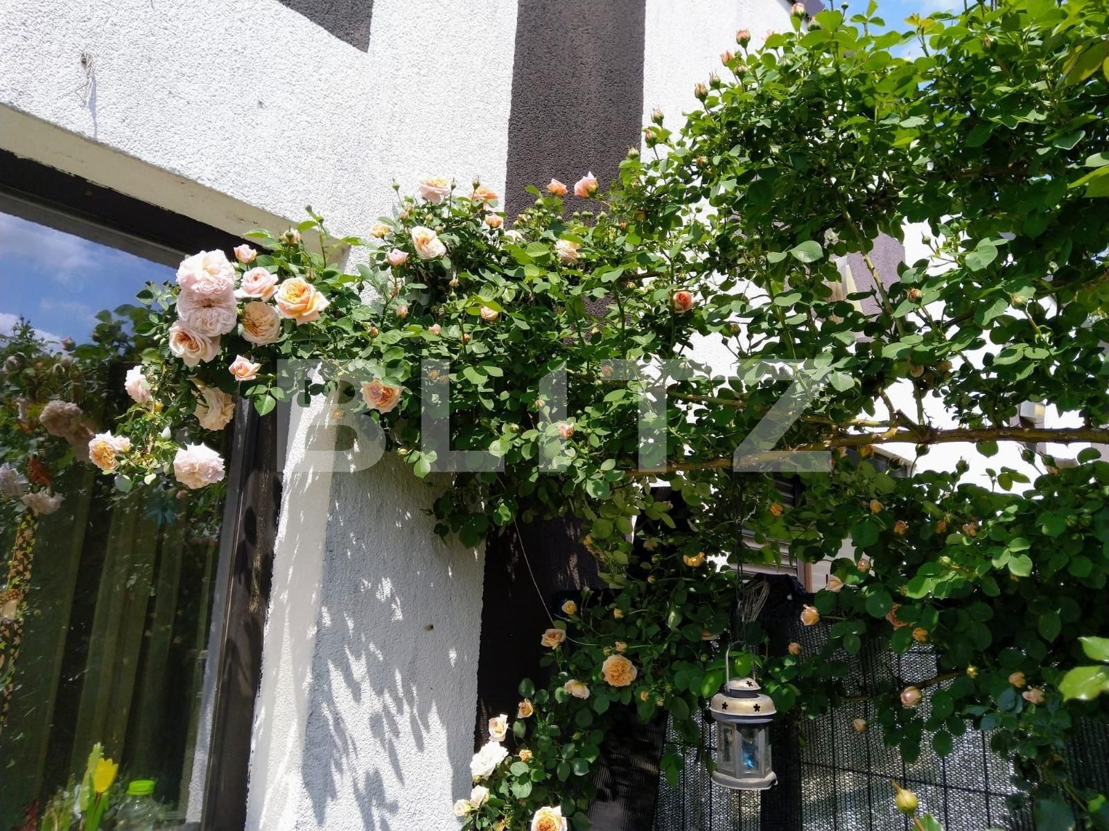 Casa de vânzare 3 camere Lascar Catargiu - 98206CV | BLITZ Craiova | Poza2