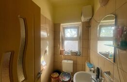 Casa 140 mp utili, 1600 mp teren, Afumati Dolj