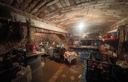 Casa 140 mp utili, 1600 mp teren, Afumati Dolj