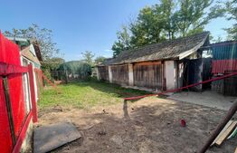 Casa 140 mp utili, 1600 mp teren, Afumati Dolj