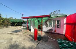 Casa 140 mp utili, 1600 mp teren, Afumati Dolj