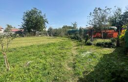 Casa 140 mp utili, 1600 mp teren, Afumati Dolj