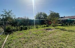 Casa 140 mp utili, 1600 mp teren, Afumati Dolj