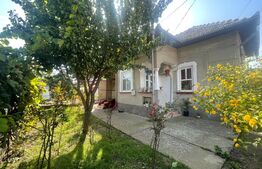 Casa 140 mp utili, 1600 mp teren, Afumati Dolj