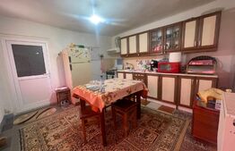 Casa 140 mp utili, 1600 mp teren, Afumati Dolj