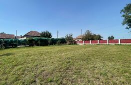 Casa 140 mp utili, 1600 mp teren, Afumati Dolj