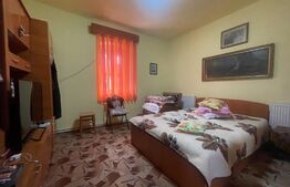 Casa 140 mp utili, 1600 mp teren, Afumati Dolj